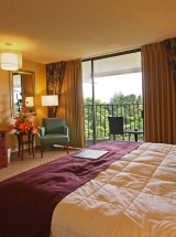 Hilo Hawaiian Guest Room